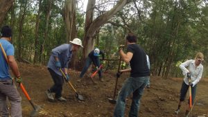 McLaren Trail Work Aug2015